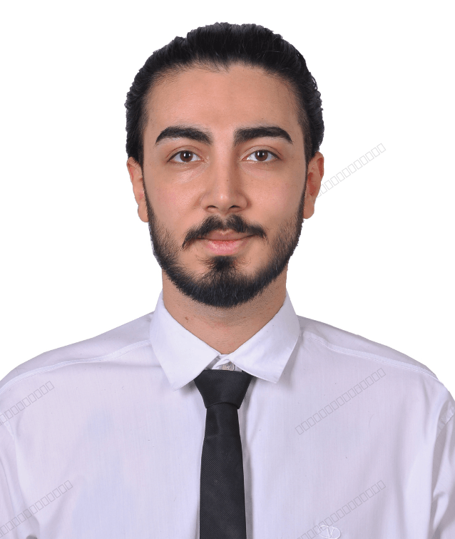 Software Engineer